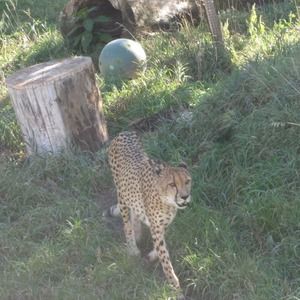 Meet your Posher, Julia